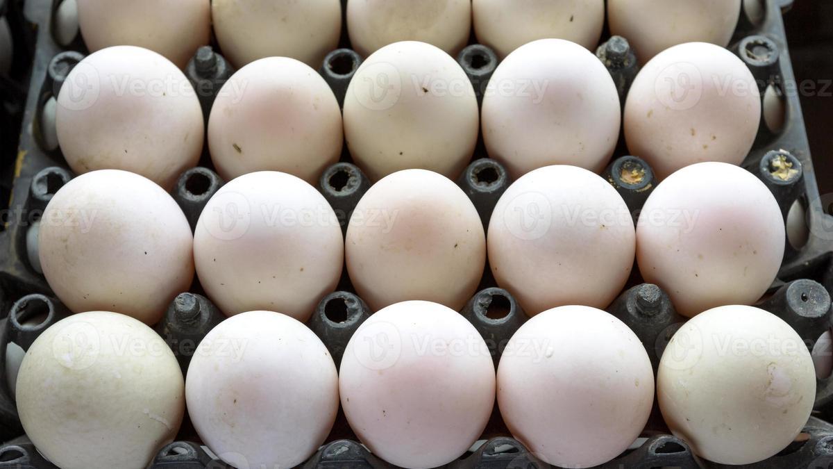 ¿Qué pasa si compro huevos sucios?