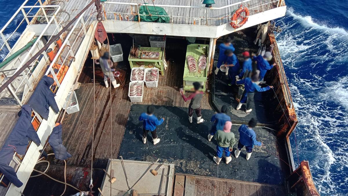 Palangrero chino con aletas cortadas de tiburón a bordo.  / DNT Lawyers