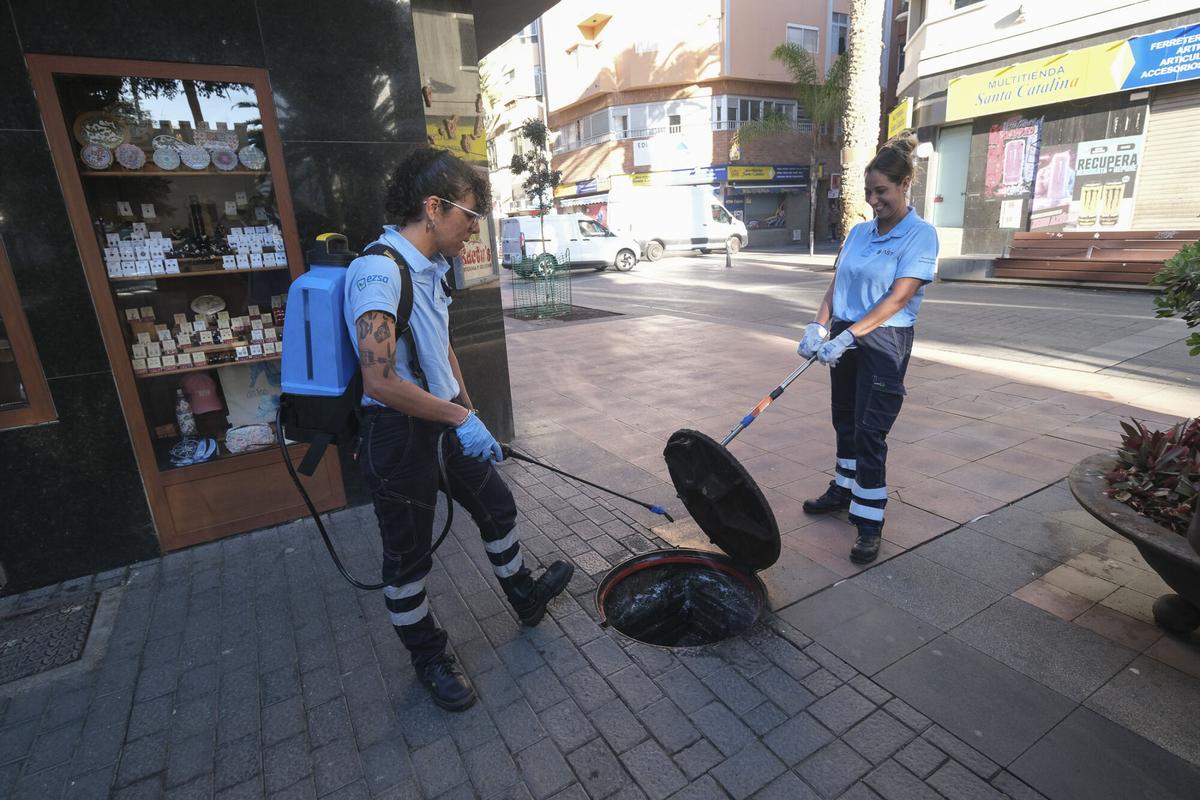 Trabajos de desratización en la zona del parque de Santa Catalina, en Las Palmas de Gran Canaria Trabajos de desratización en la zona del parque de Santa Catalina, en Las Palmas de Gran Canaria
