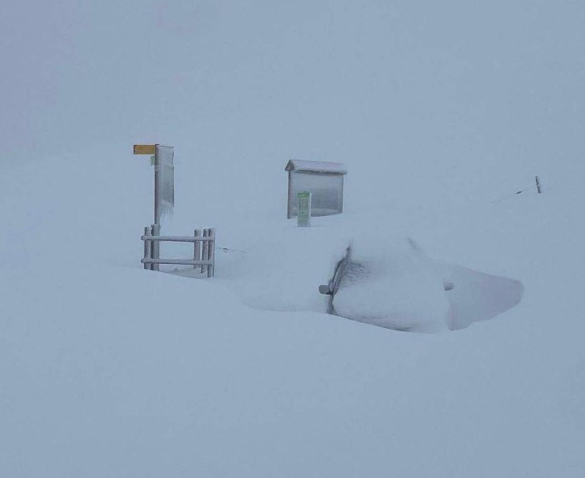 4 | PERE DURAN / NORD MEDIA