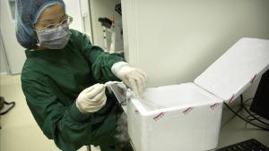 zentauroepp46033225 genes181126091135