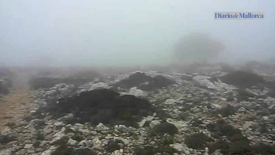 Niebla y fuerte viento en el Camí de s'Arxiduc