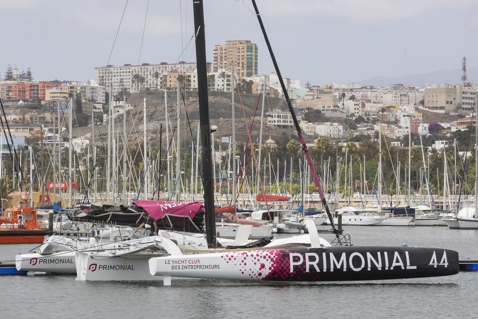 Los trimaranes del Pro Sailing Tour llegan al Muelle Deportivo