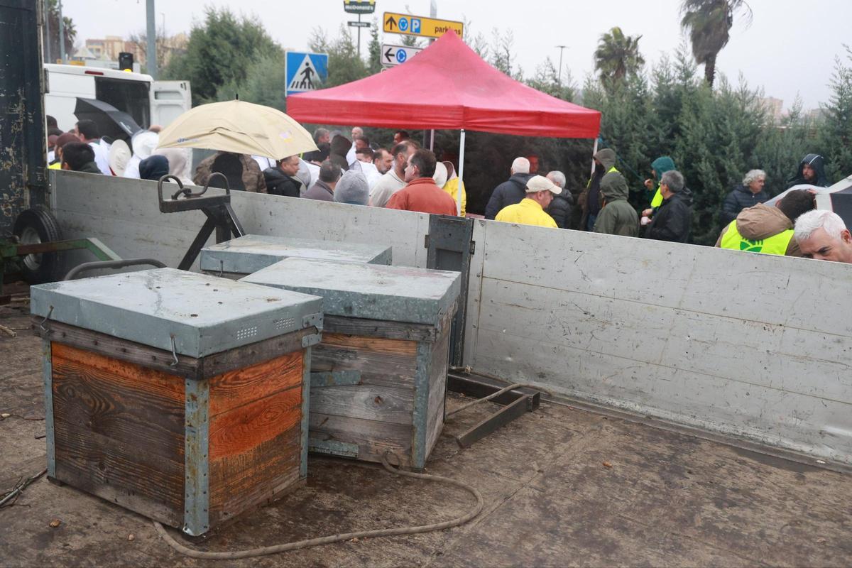 Fotogalería | Imágenes de la tractorada en Cáceres, este miércoles