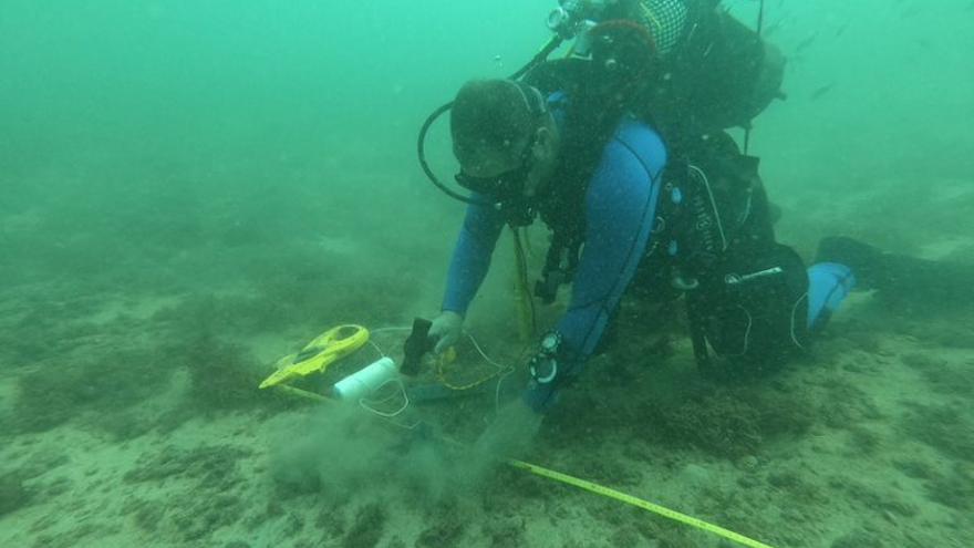 Uno de los expertos delimita los terrenos donde se reforestará la posidonia.