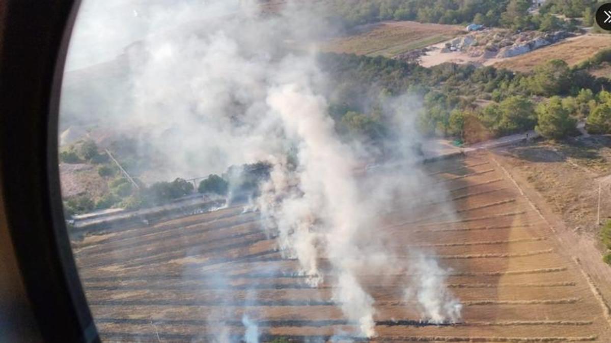 Zona afectada por el incendio en el área de Cala Saona