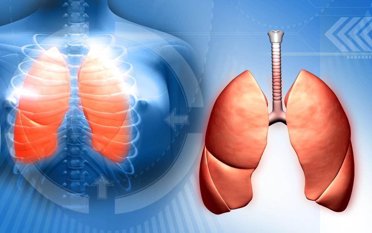 Los nanoplásticos más envejecidos a la intemperie y que ingresan en los pulmones disparan su inflamación