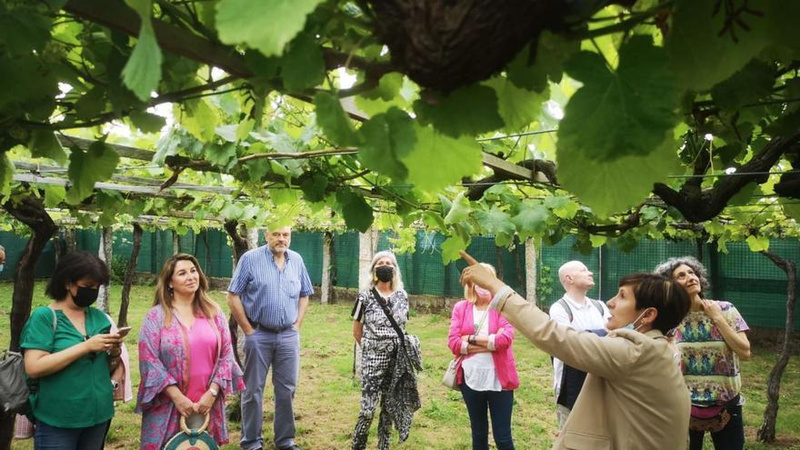 Otro tanto a favor del enoturismo en la comarca