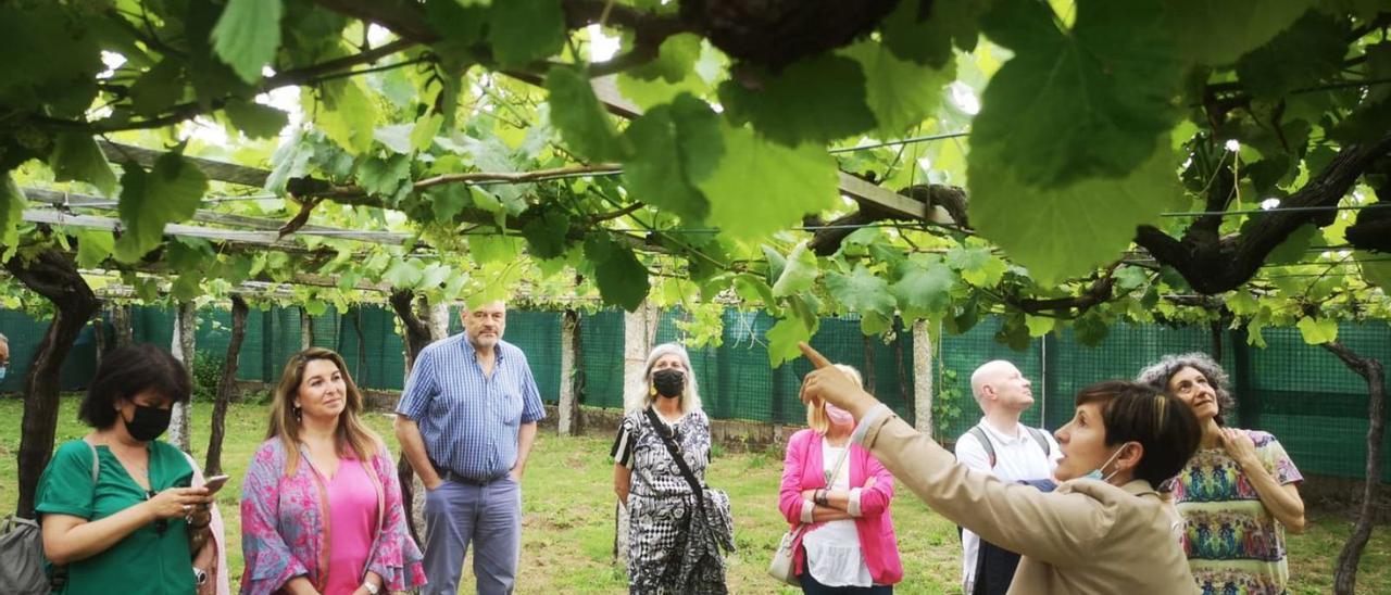 Participantes en la última jornada de puertas abiertas de la Ruta do Viño Rías Baixas. | // FDV