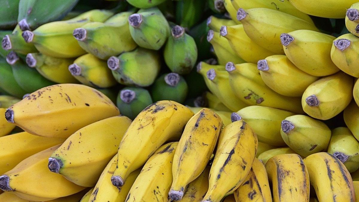 Grupos de plátanos