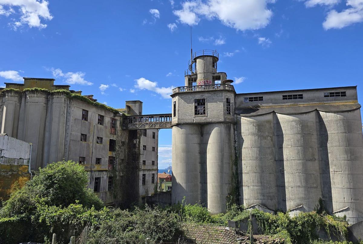 Panificadora de Vigo