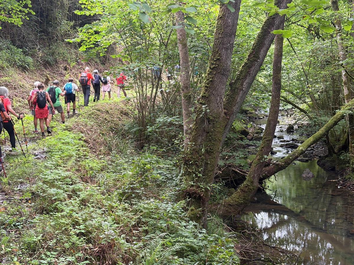 La caminata con el Grupo Montañero Moscón, en imágenes La caminata con el Grupo Montañero Moscón, en imágenes