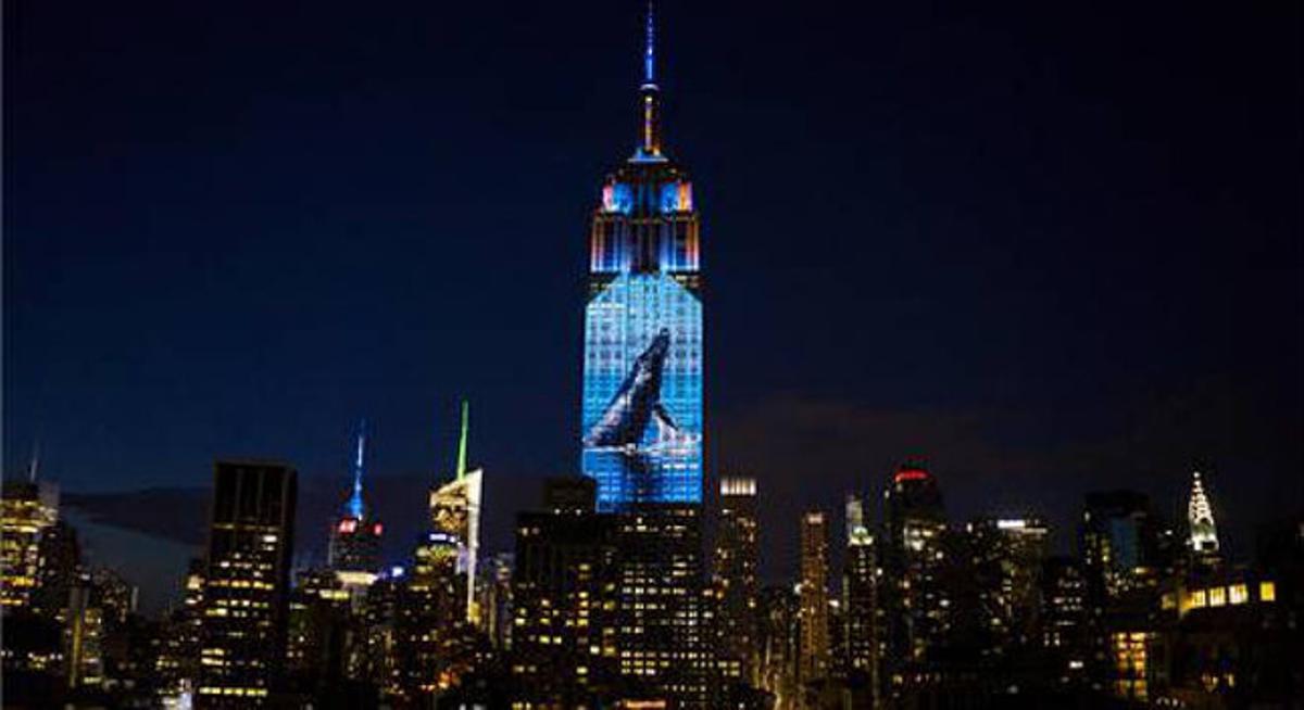 La fachada del Empire State se alzaba entre los demás edificios homenajeando a los animales en peligro de extinción.