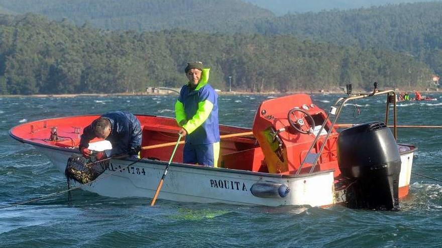 Un &quot;rañeiro&quot; en los bancos de libre marisqueo de Os Lombos do Ulla. // Noé Parga