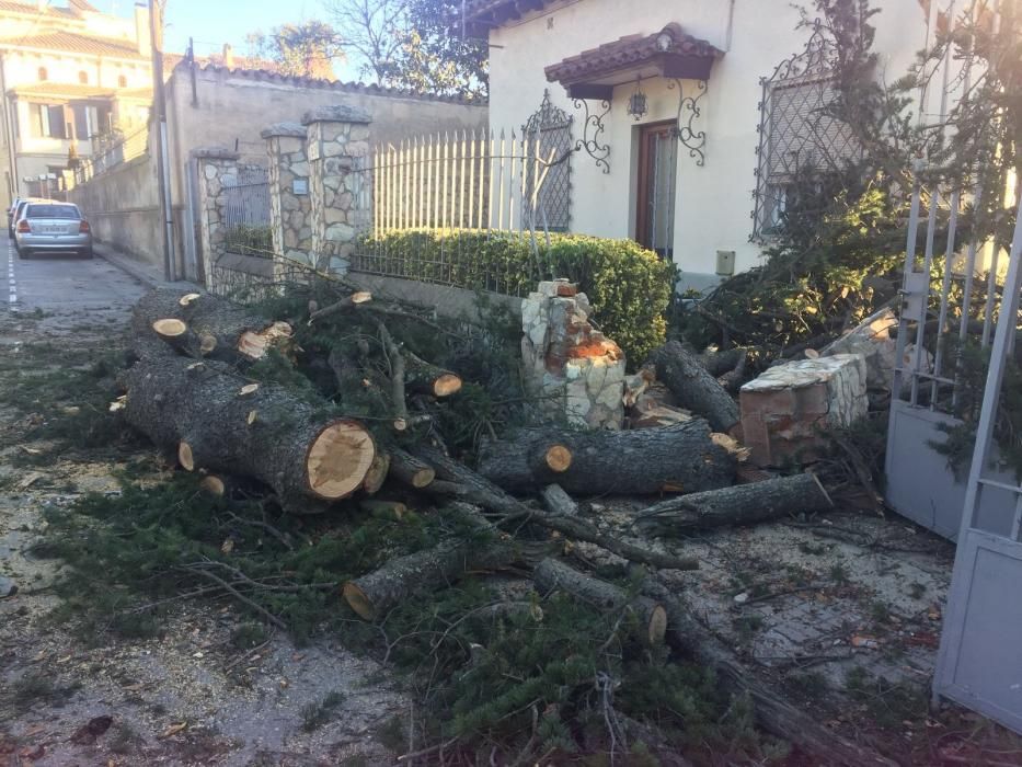 Incidències pel vent a Santa Coloma