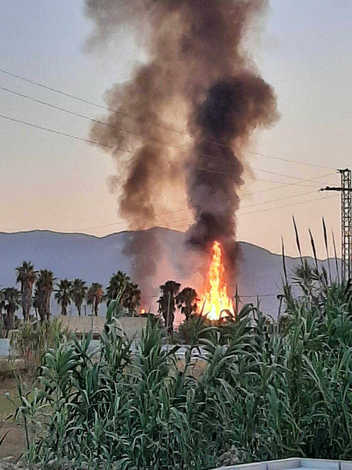 Una gran columna de humo levanta las alarmas por dos incendios declarados en un palmeral de Cullera