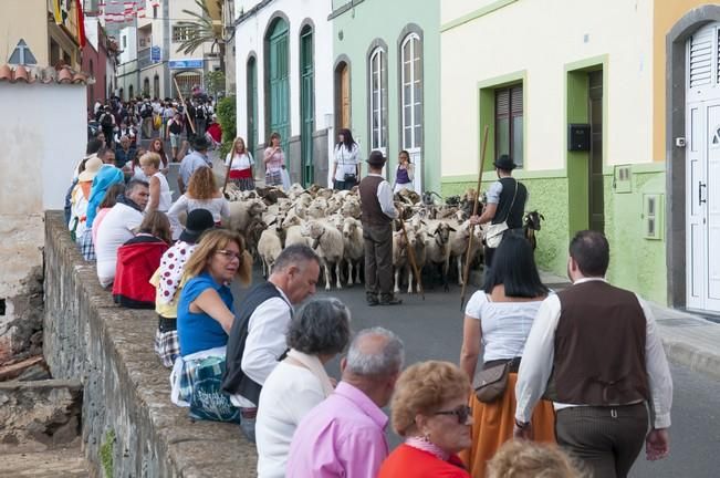 18/06/2016 ARUCAS . Romeria de ARUCAS. Foto: SABRINA CEBALLOS