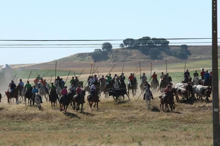 Encierro en Guarrate