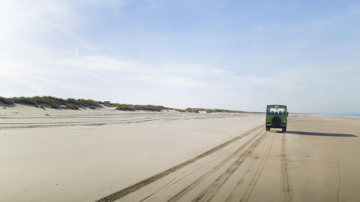La playa de Doñana (Huelva), con sus espectaculares dunas, es la más larga de España con 28 kilómetros de longitud.
