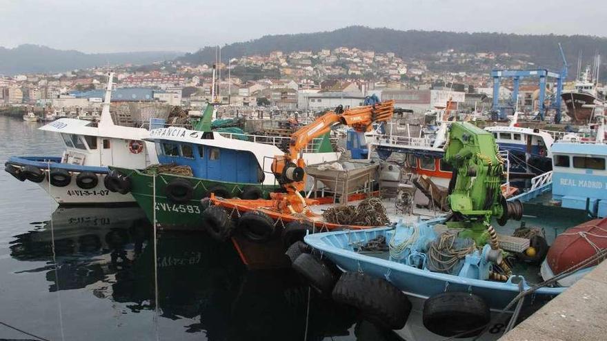 Bateeiros de Bueu amarrados ayer en el muelle de la localidad. // Santos Álvarez