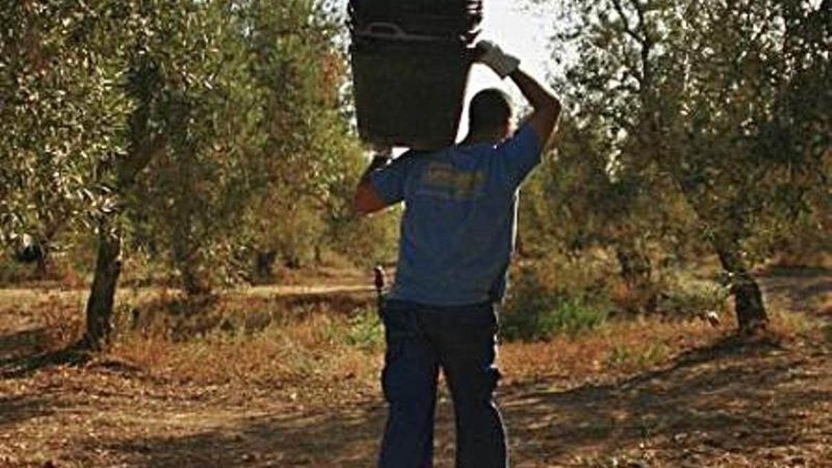 Un trabajador del campo.