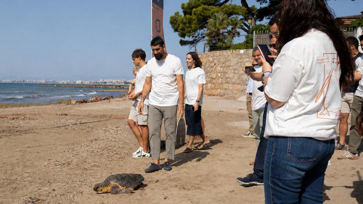 Para celebrar el lanzamiento de la 'app', las entidades han realizado en Orpesa la suelta de una tortuga, entre otras especies.