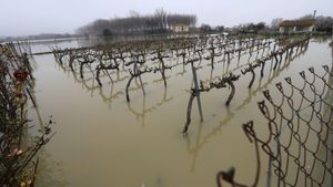 L’anticipació de la riuada de l’Ebre fa témer el cobrament de les assegurances al camp