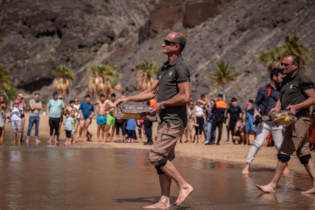 La reina Sofía asiste en Tenerife a una suelta de tortugas marinas recuperadas de lesiones