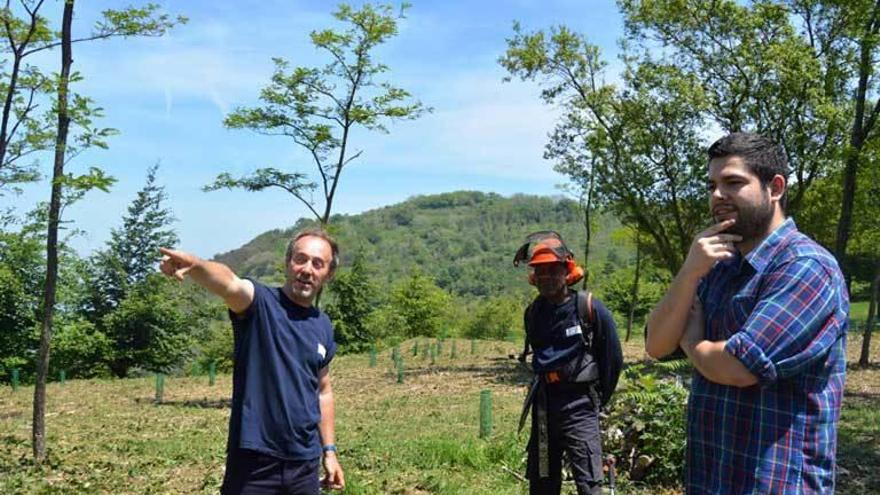 Recuperada en el Naranco una zona de trincheras