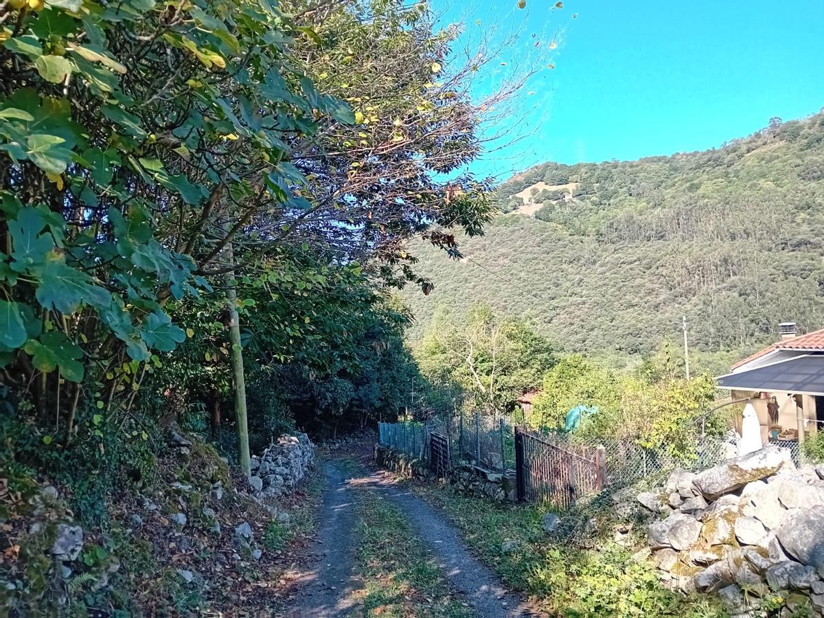 Uno de los caminos interiores del pueblo de Castañedo.