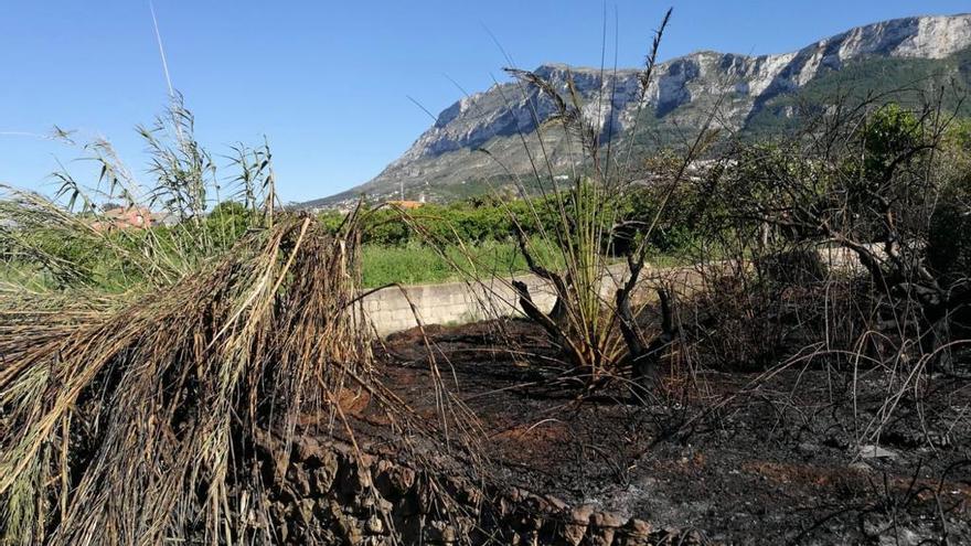 Controlan con rapidez un incendio declarado a 200 metros del cementerio de Dénia