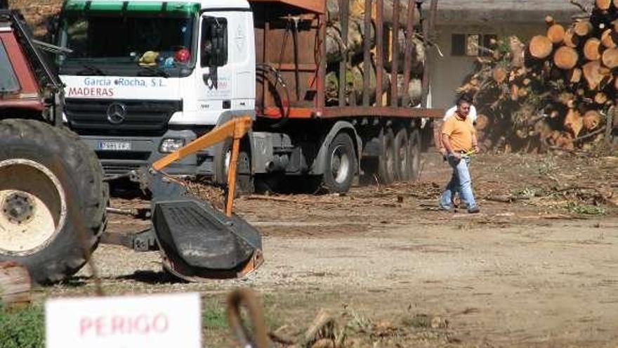 Un camión durante el proceso de carga de madera. // FdV