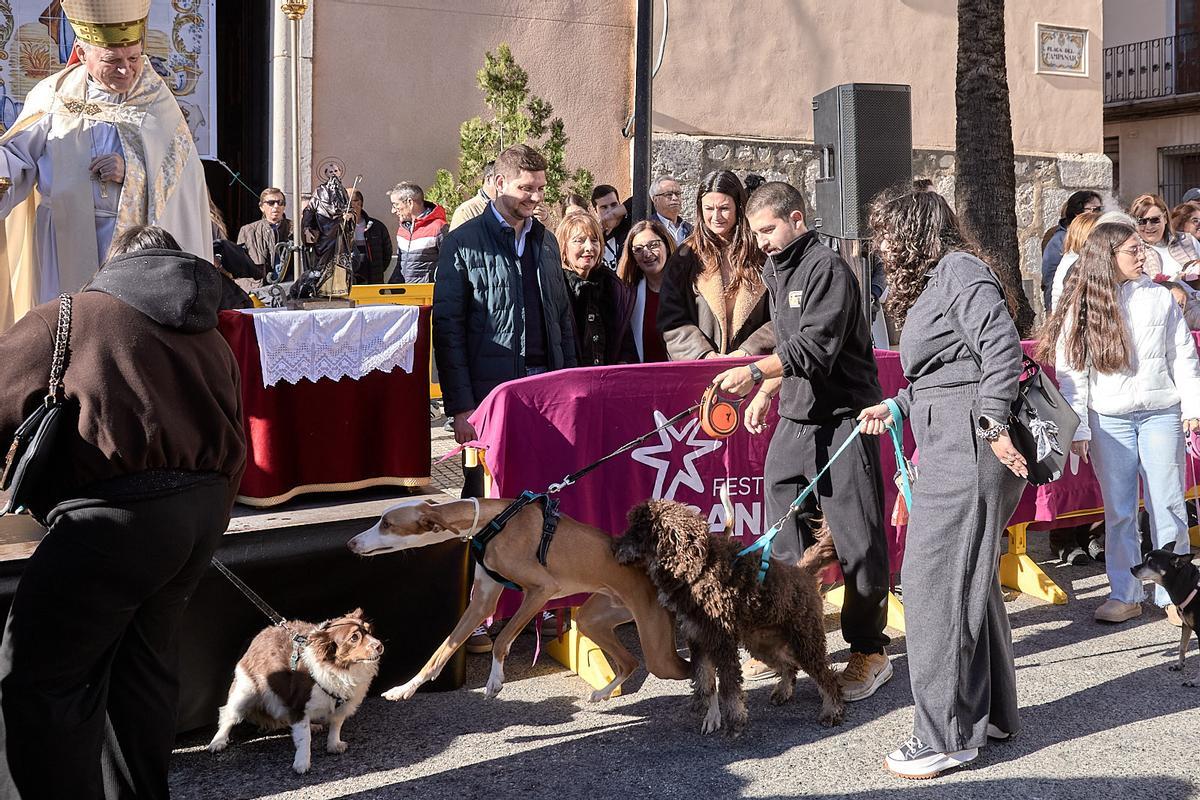 Gran fin de semana en el Porrat de Beniopa con las calles llenas de gente Gran fin de semana en el Porrat de Beniopa con las calles llenas de gente