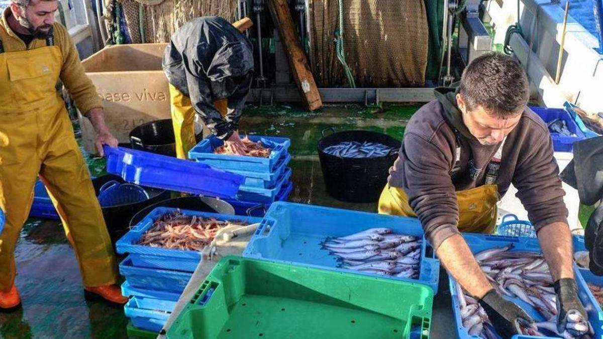 Pescadores de Santa Pola distribuyendo las capturas durante una jornada de faena.