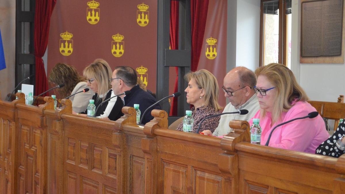 Concejales del Grupo Municipal del PSOE en Benavente. / E. P.