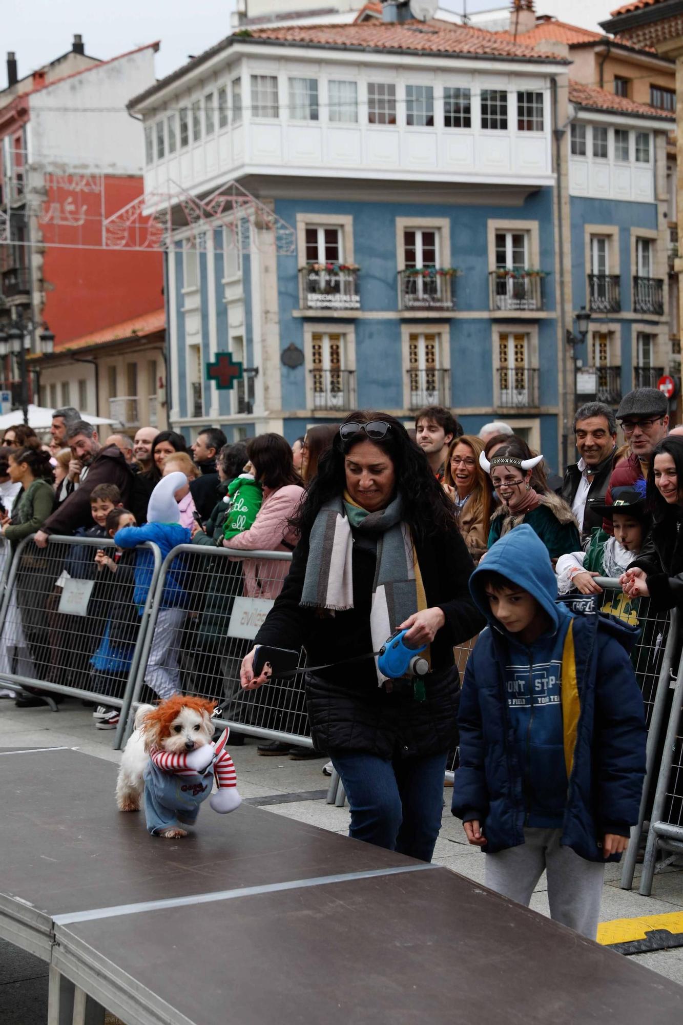 Las mascotas antroxaes desfilan ante su público