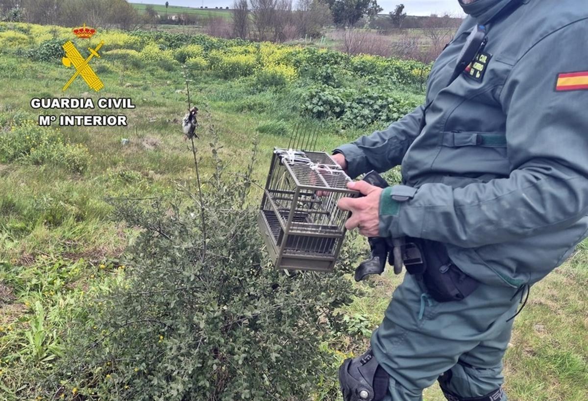 Material para la caza ilegal incautado por la Guardia Civil en Mérida.