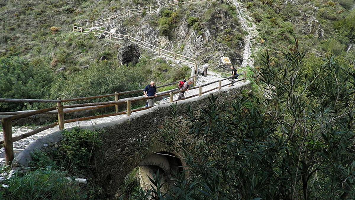 Una imagen de uno de los senderos de Canillas de Albaida.