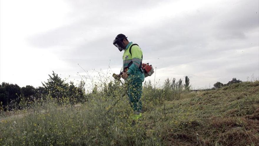 El consistorio emeritense inicia el desbroce de pastos en las parcelas municipales