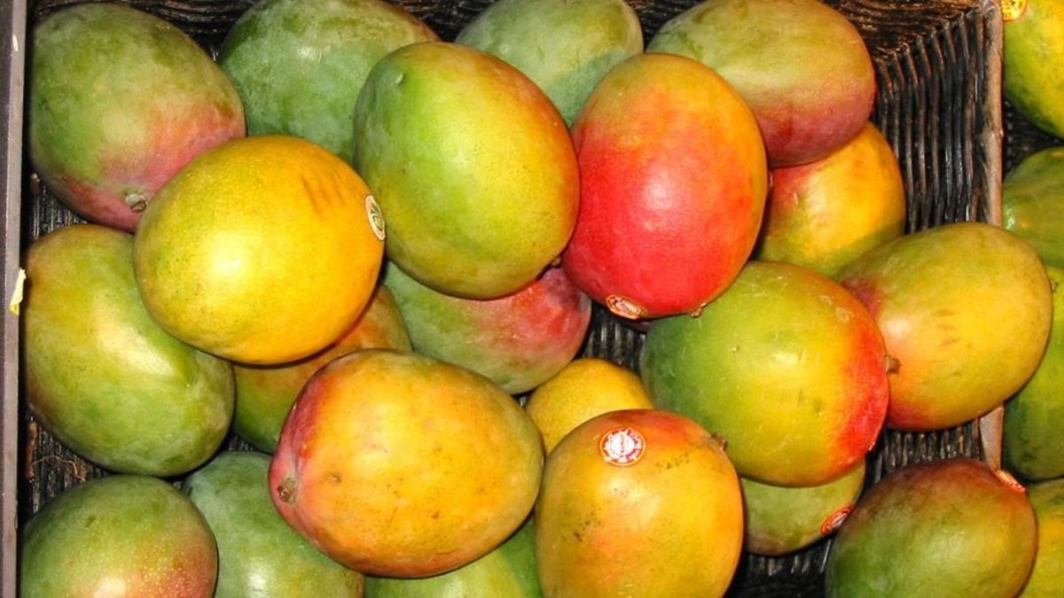 Mango para potenciar y proteger el bronceado