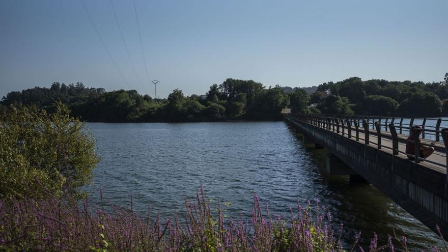 Vista del embalse de Cecebre y vegetación en su entorno, el verano pasado. |   // CASTELEIRO/ROLLER AGENCIA