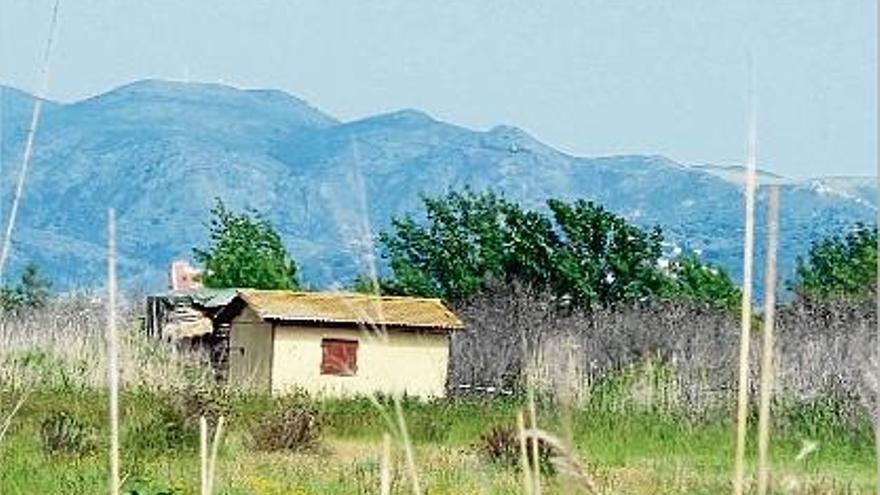 Una de les barraques il·legals al Parc Natural dels Aiguamolls de l&#039;Empordà.