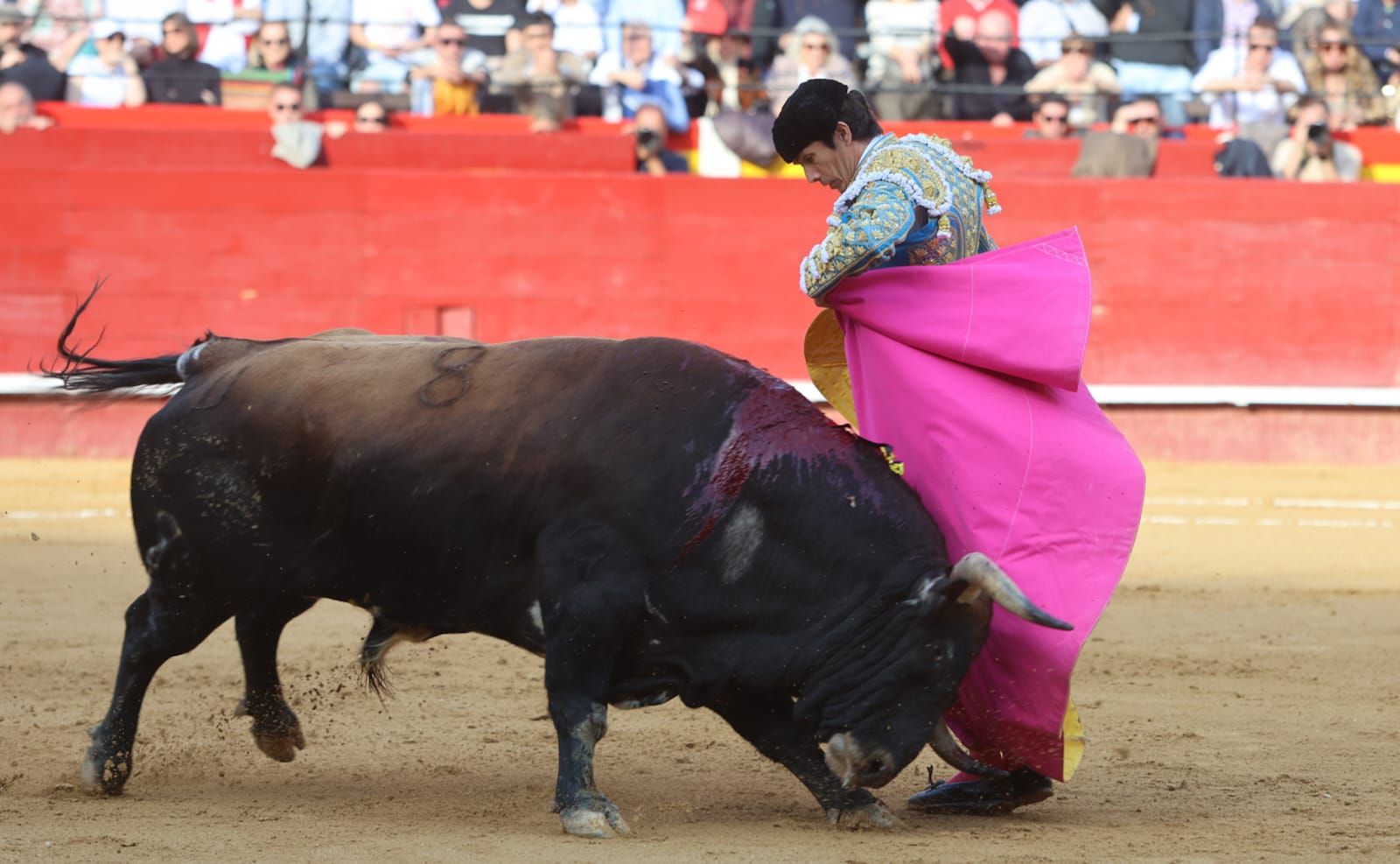 Vicente, Carmen Lomana y Enrique Ponce en la corrida de toros del 16 de marzo en València