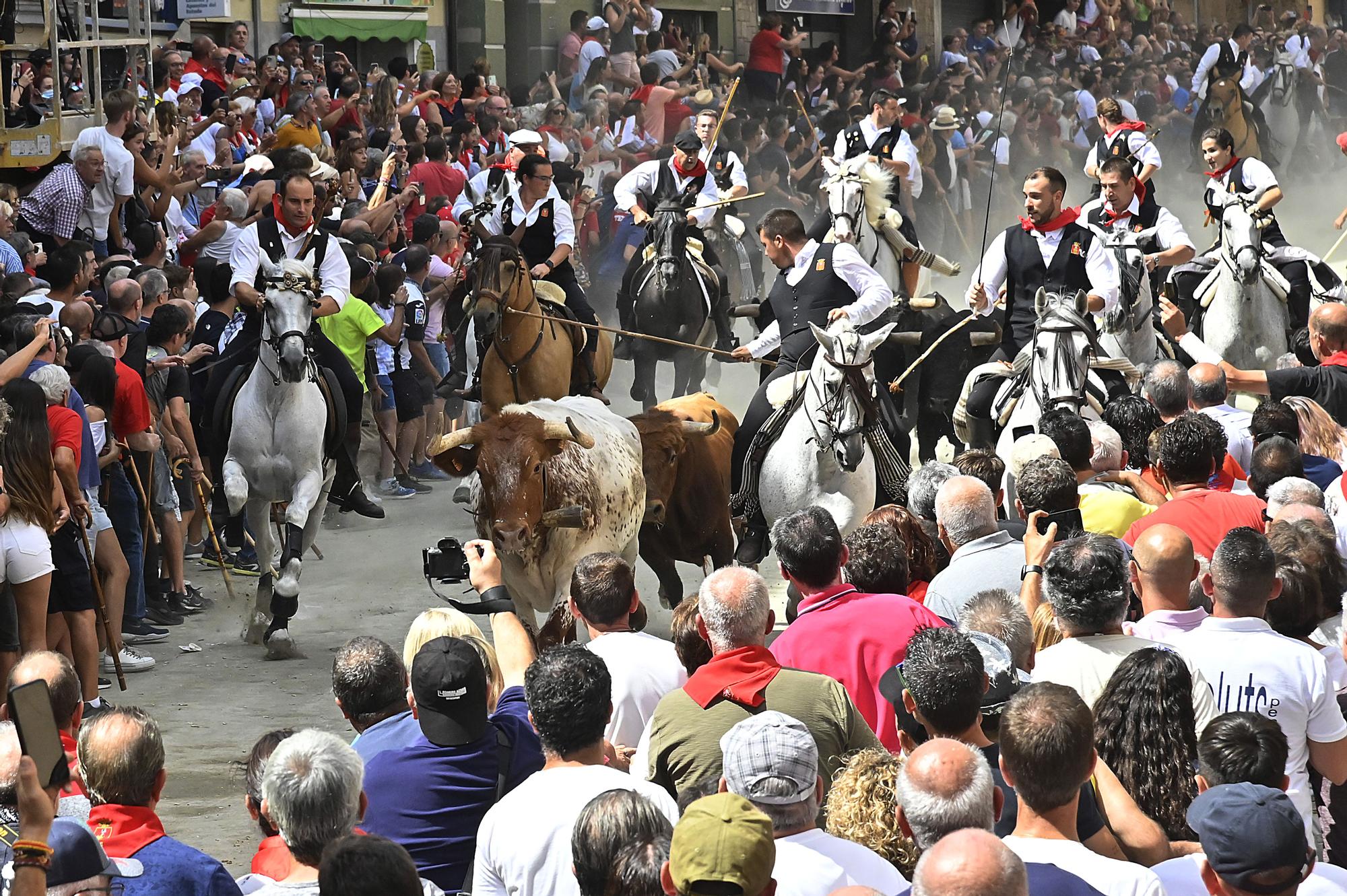 Todas las fotos de la cuarta Entrada de Toros y Caballos de Segorbe