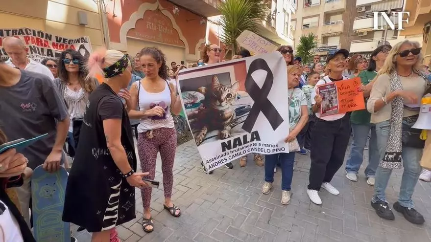 Cuatrocientas personas se concentran en Torrevieja para expresar su indignación por la brutal muerte de la gata Nala y contra el maltrato animal