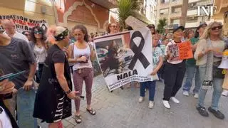 Cuatrocientas personas claman justicia por la gata Nola y contra el maltrato animal en Torrevieja