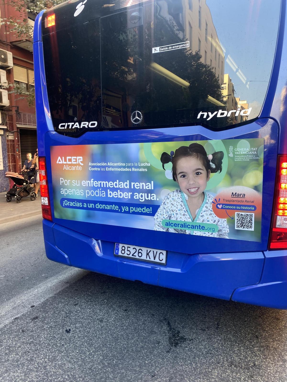 La imagen de Mara, una niña alicantina recientemente trasplantada, en la trasera de un bus