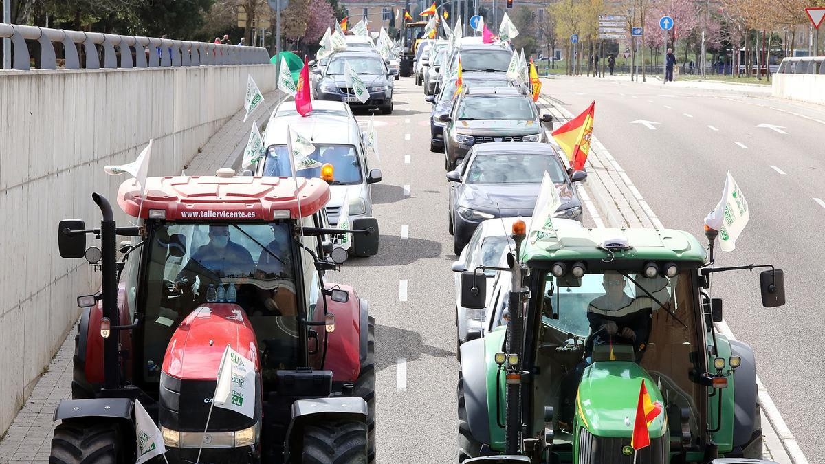 Protesta en Valladolid contra el blindaje del lobo