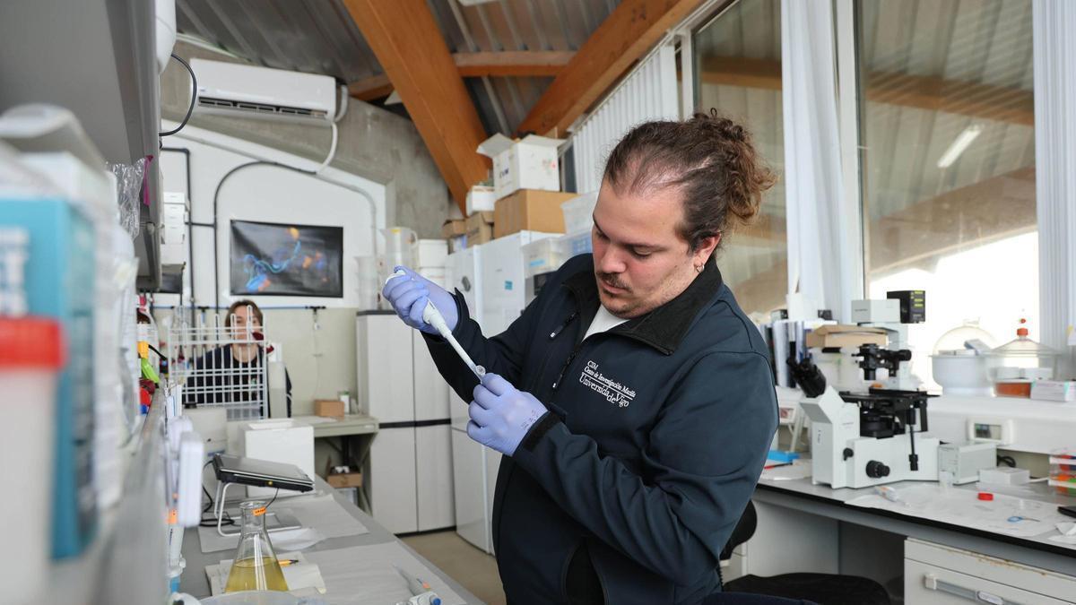Un investigador, trabajando en la Estación de Ciencias Marinas de Toralla (Ecimat).