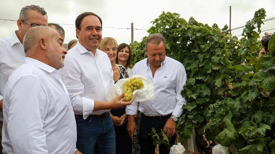 Il ricambio generazionale stringe il settore agricolo di Castellón: 8 milioni in più per i giovani agricoltori